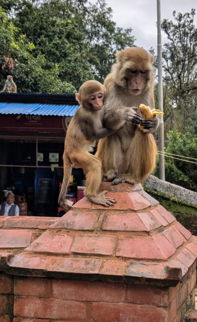 Motherhood in every gene